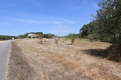 listing-picture-0