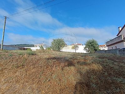 listing-picture-0