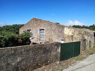 listing-picture-0