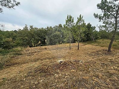 listing-picture-0