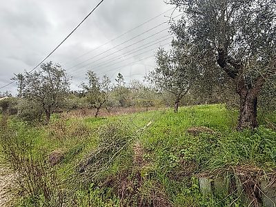 listing-picture-0