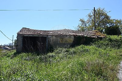 listing-picture-0