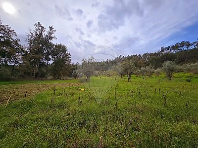 listing-picture-0
