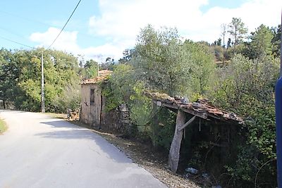 listing-picture-0