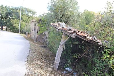 listing-picture-0