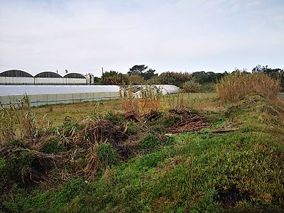 listing-picture-0