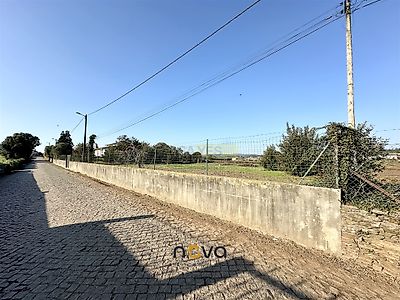 listing-picture-0