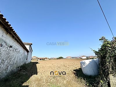 listing-picture-0
