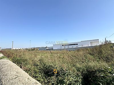 listing-picture-0