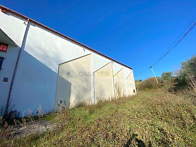 listing-picture-0