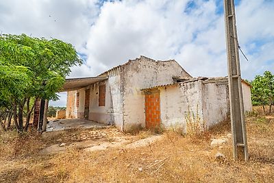 listing-picture-0