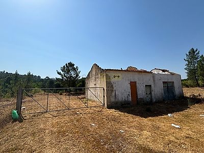 listing-picture-0
