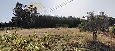 listing-picture-0