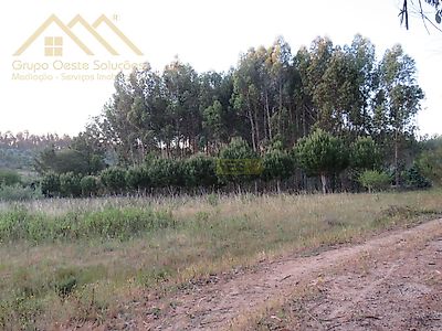 listing-picture-0
