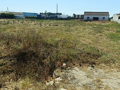 listing-picture-0