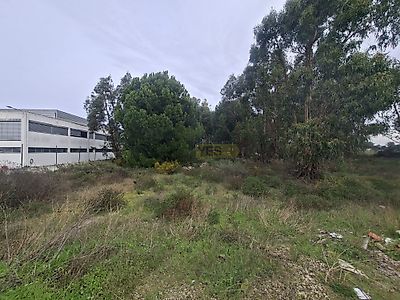 listing-picture-0
