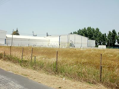 listing-picture-0