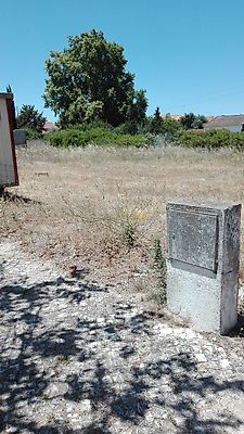 listing-picture-0