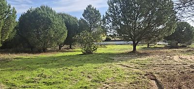 listing-picture-0