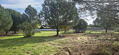 listing-picture-0