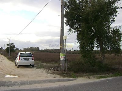 listing-picture-0