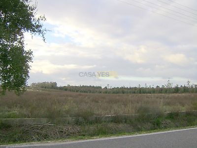 listing-picture-0