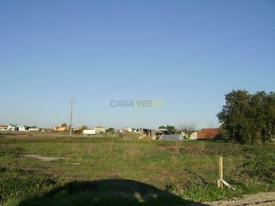 listing-picture-0