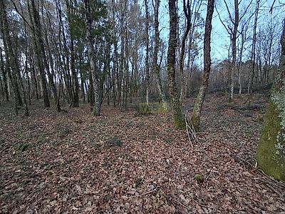 listing-picture-0