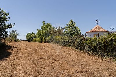 listing-picture-0