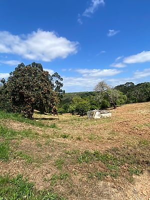 listing-picture-0