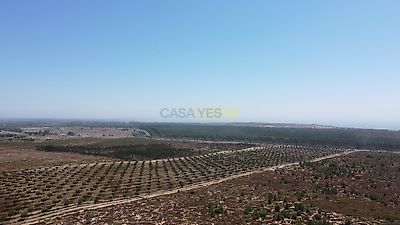 listing-picture-0