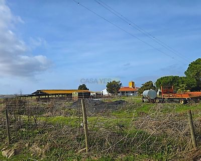 listing-picture-0