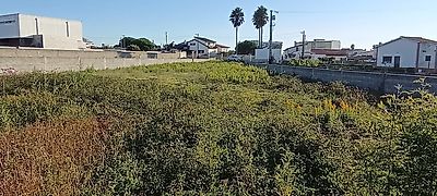 listing-picture-0