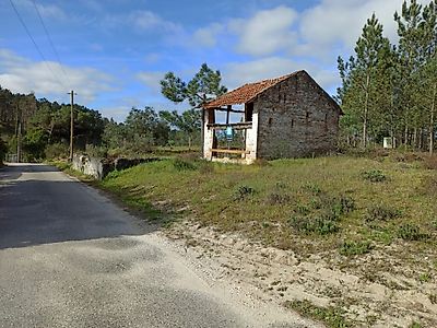 listing-picture-0