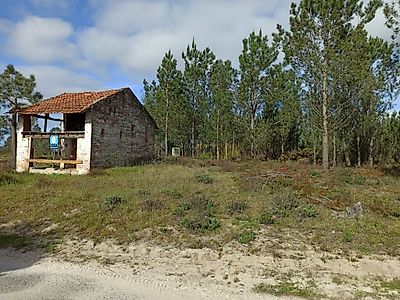 listing-picture-0