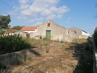 listing-picture-0