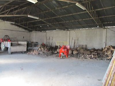 listing-picture-0