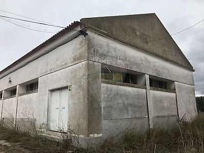 listing-picture-0