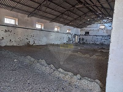 listing-picture-0