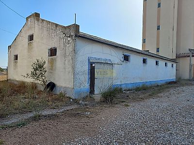 listing-picture-0