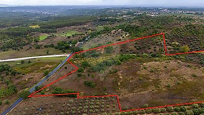 listing-picture-0