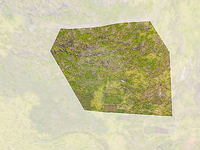 listing-picture-0