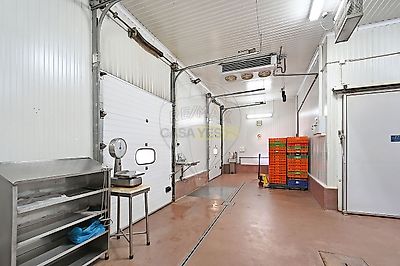 listing-picture-0