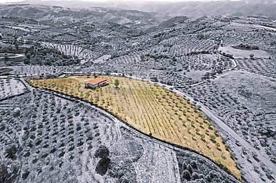 listing-picture-0