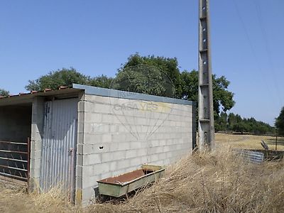 listing-picture-0