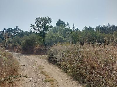 listing-picture-0