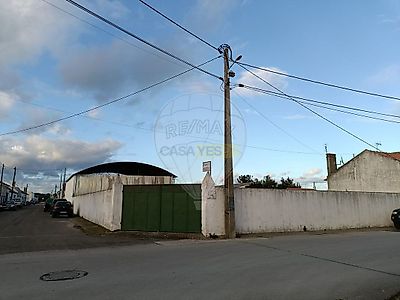 listing-picture-0