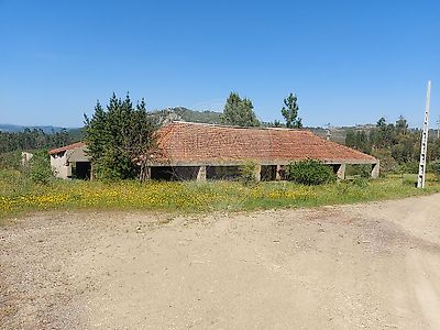 listing-picture-0
