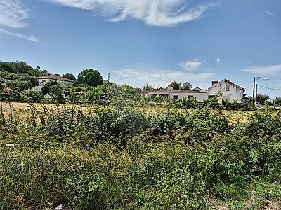 listing-picture-0