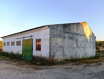 listing-picture-0